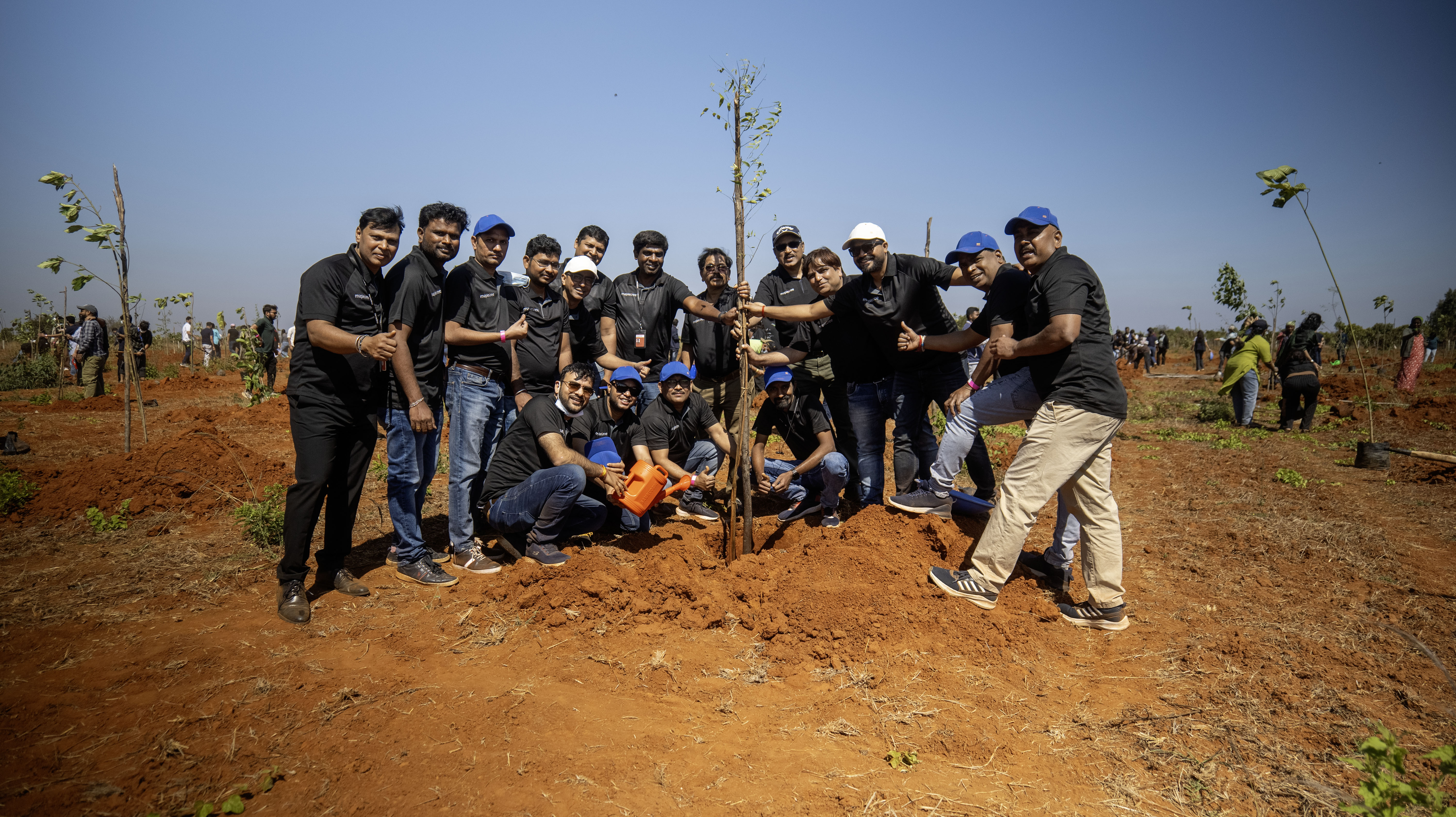 5000 Trees Plantation Drive with Mapletree